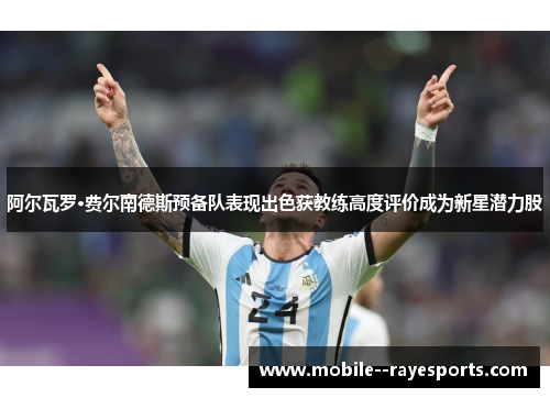 阿尔瓦罗·费尔南德斯预备队表现出色获教练高度评价成为新星潜力股 阿尔瓦罗·费尔南德斯预备队表现出色获教练高度评价成为新星潜力股