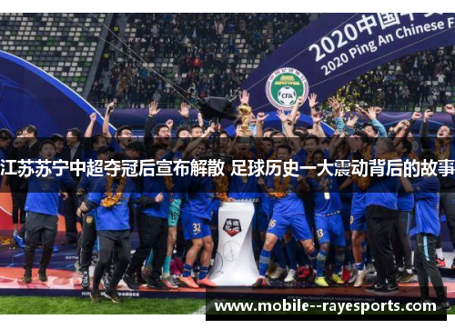 江苏苏宁中超夺冠后宣布解散 足球历史一大震动背后的故事